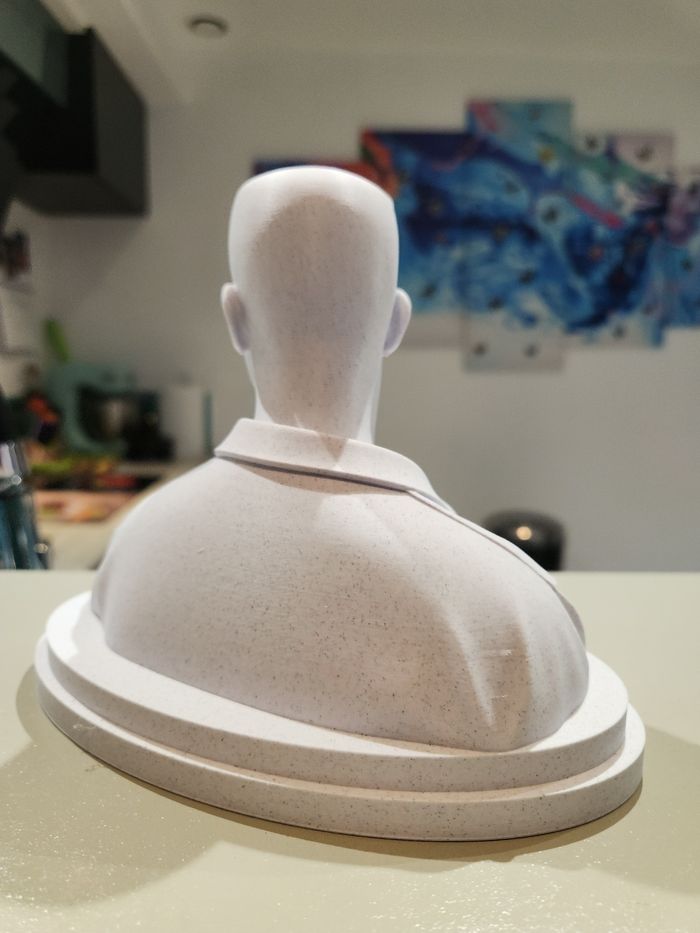 🎶 Star Académie – Julien Lieb – Buste collector – Figurine décorative - photo numéro 4