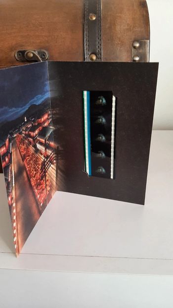 Pellicule Demon Slayer manga