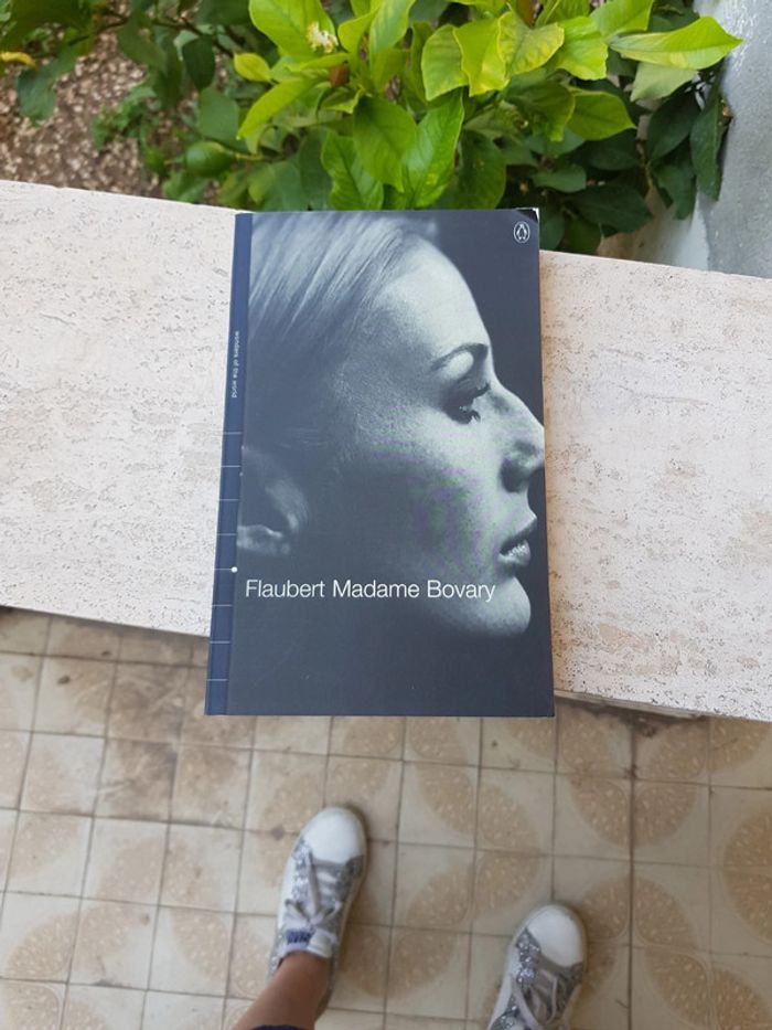 Madame Bovary Flaubert