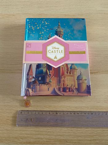 Carnet cahier collection disney princesse raiponce Rapunzel castle chateau tangled édition limitée