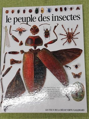 Le peuple des insectes Laurence Alfred Mound