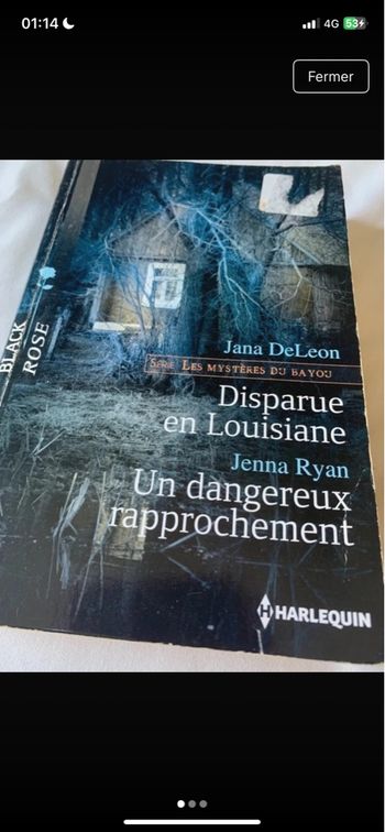 Série les enquêtes du Bayou 
