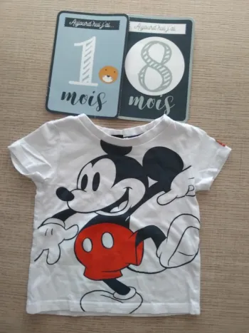 Tee shirt 12/18 mois / 86 cm
