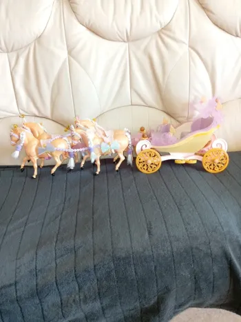 Carrosse pour princesses