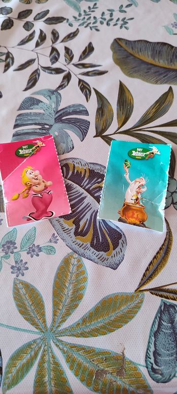2 entrees  places pour parc Astérix