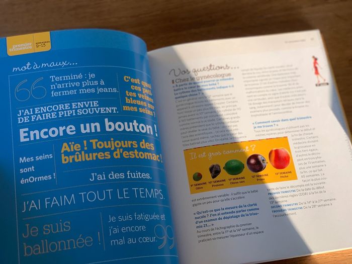 Lot de livres de grossesse - photo numéro 7