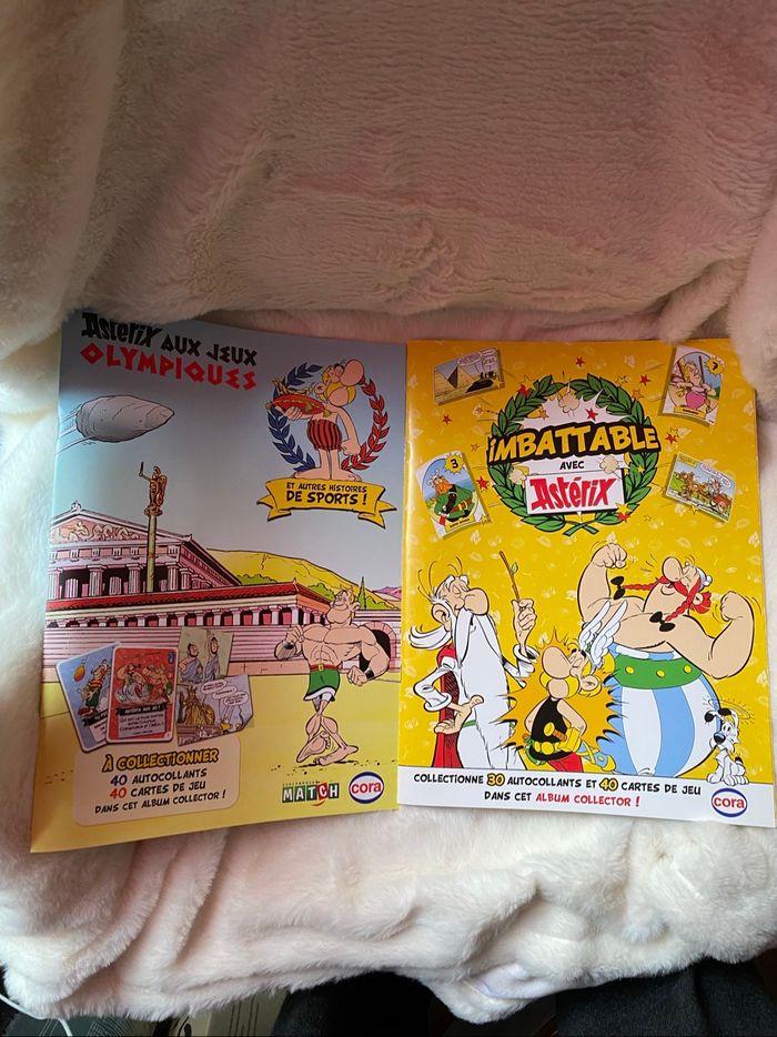 Lot de 2 collector Astérix avec cartes - photo numéro 2