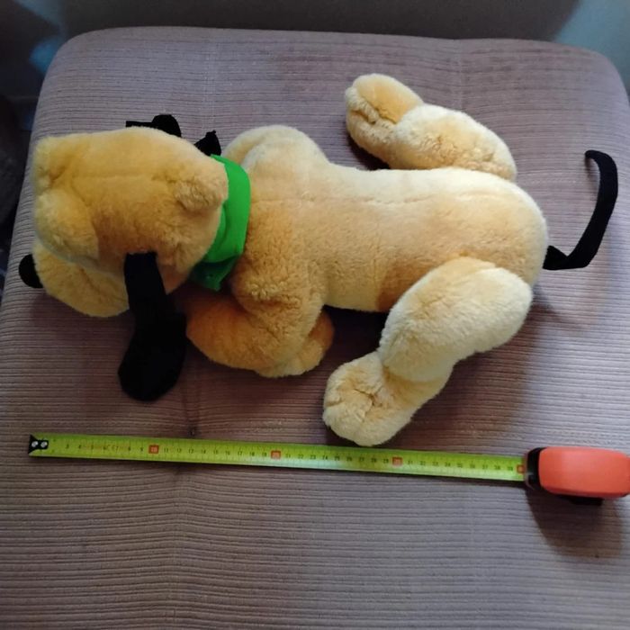 Pluto - photo numéro 10