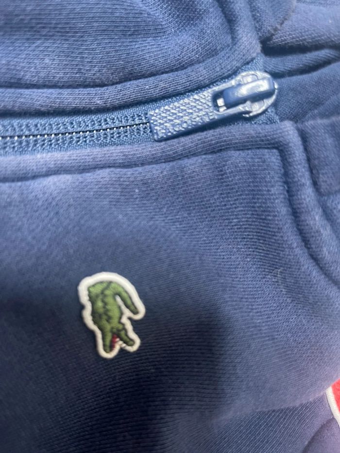 Veste zippé Lacoste - photo numéro 4