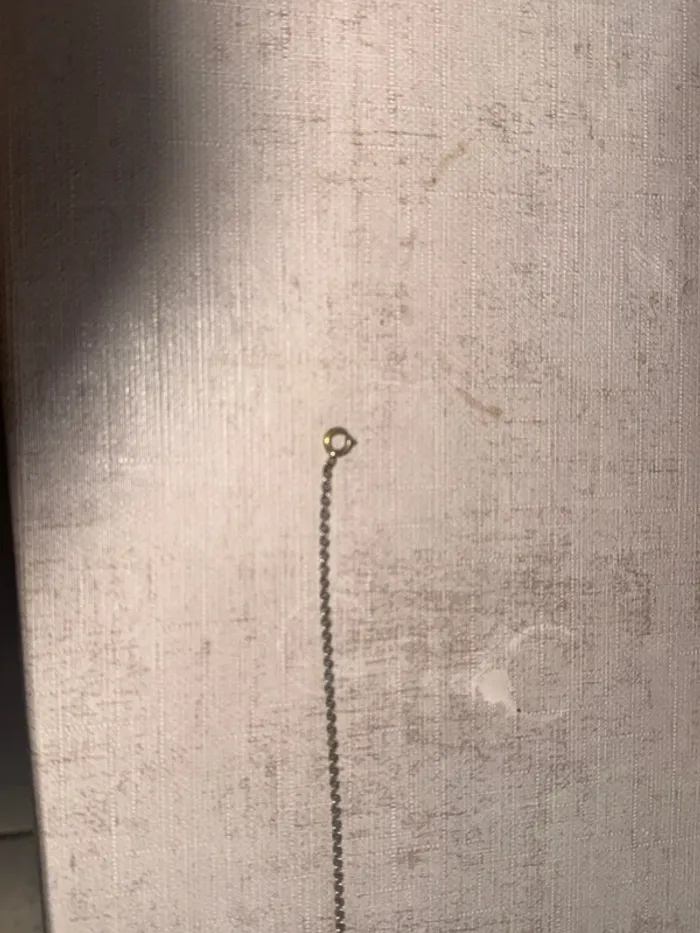 Collier - photo numéro 2