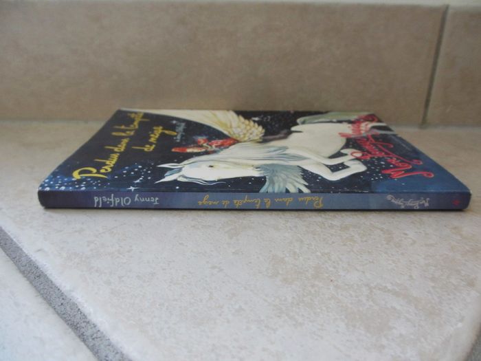 Roman enfant Mon Poney Magique – Tome 4 Perdus dans la tempête - photo numéro 4