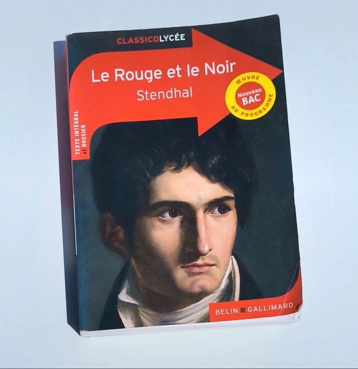 Livre le rouge et le noir