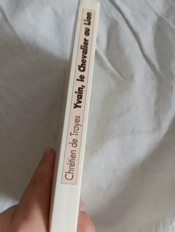 Livre " Yvain, le chevalier au lion" - photo numéro 2