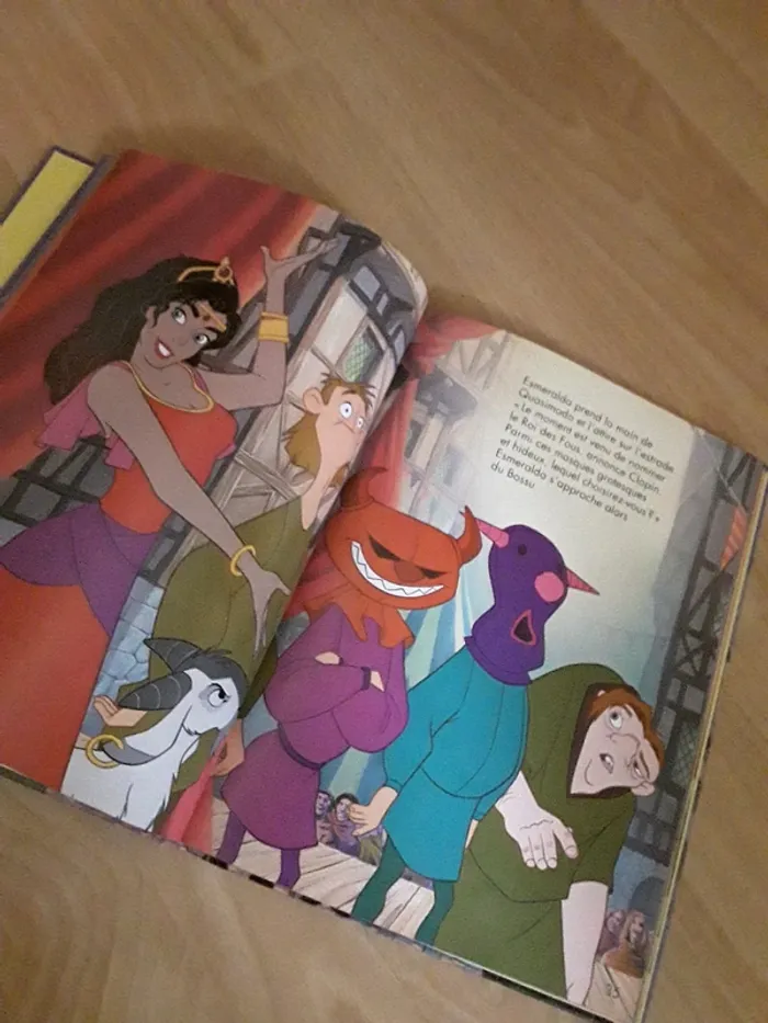 Livre enfant Le bossu de Notre Dame - photo numéro 3