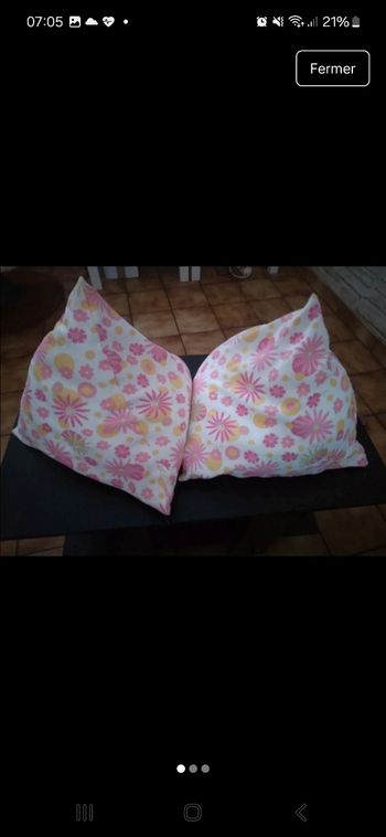 Lot de 2 coussin 
