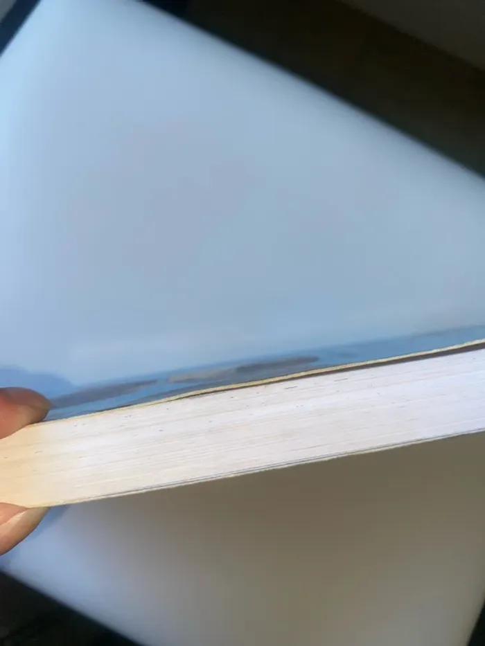 Le carnet d’Allie - photo numéro 7