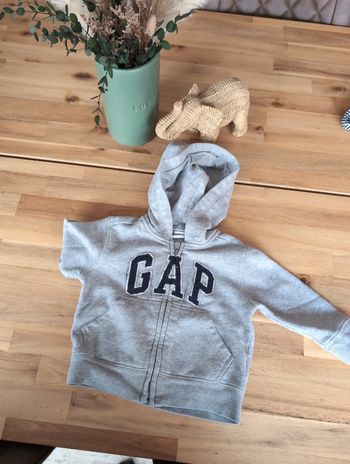 Gillet gap