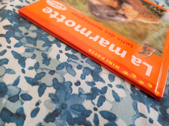 Livre album La Marmotte - photo numéro 3