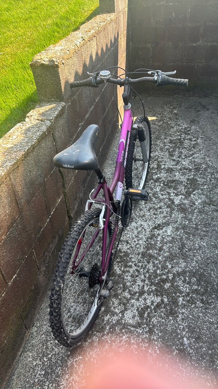 Vélo normal - photo numéro 2