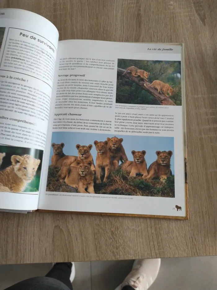Livre édition atlas le lion - photo numéro 4