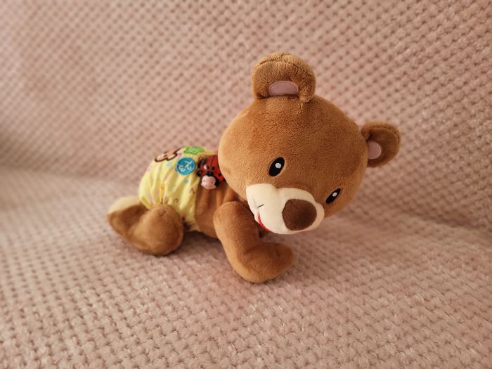 Petit ours éducatif - photo numéro 2