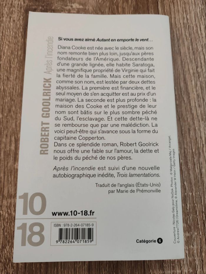 Robert Goolrick 🟣 Après l'incendie - photo numéro 3
