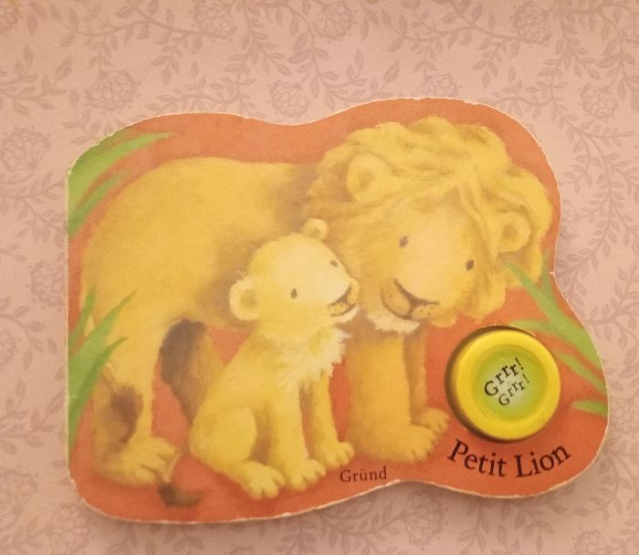 Livre : le petit lion đŠ