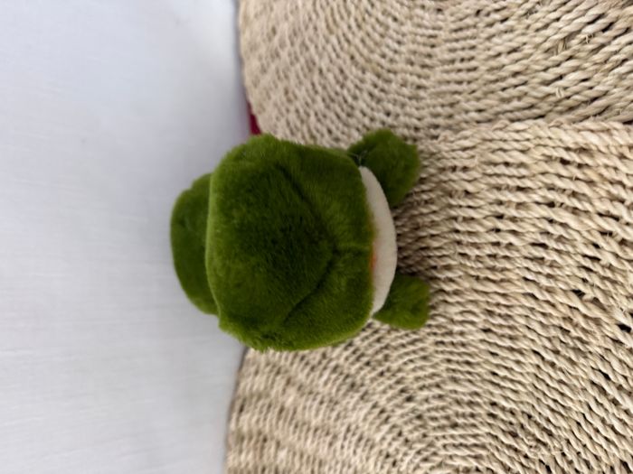 Peluche grenouille vintage - photo numéro 3
