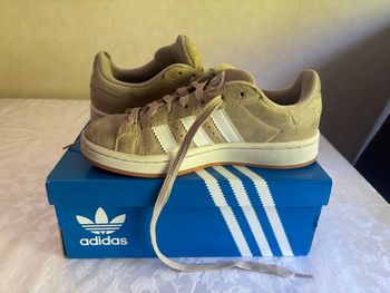 Campus Beige