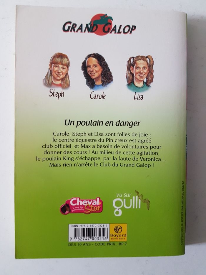 Grand galop : Un poulain en danger - photo numéro 2