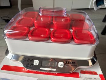 Yaourtière Multi Délices Express Seb 12 pots