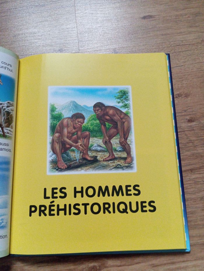 L'imagerie dinosaures et préhistoire - photo numéro 7