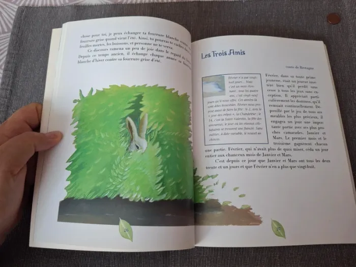 Livre Contes du monde Histoire des quatre saisons - photo numéro 5