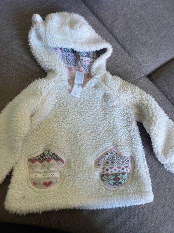 Pull polaire 