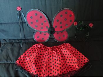 Déguisement coccinelle papillon 3-6ans