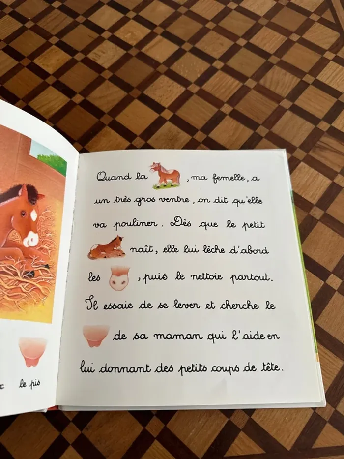 Livre Je lis avec le poney - photo numéro 4
