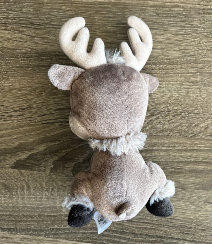 Sven disney - photo numéro 4