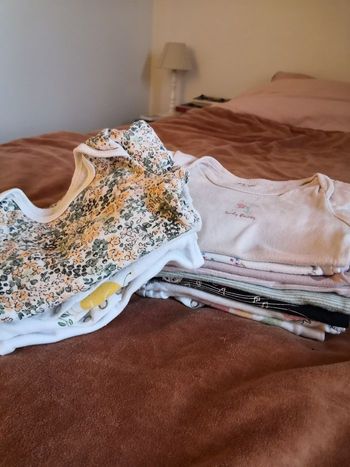 Lot de 12 bodies 6mois