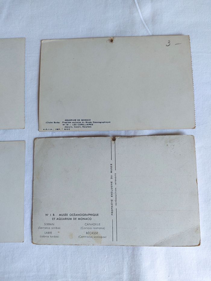Lot 4 Cartes postales anciennes CPA Aquarium de Monaco dont une PS Bertault - photo numéro 5
