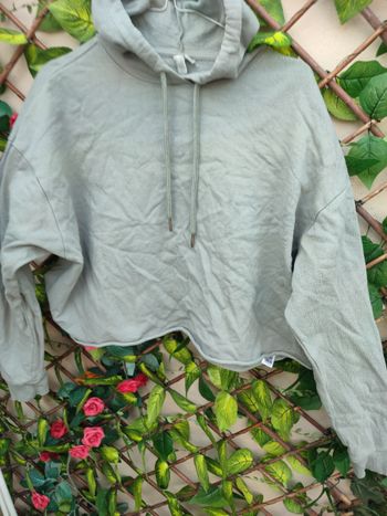 Sweat a capuche