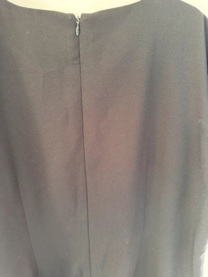 Sublime, robe noire, berger du Nord, taille 46 - photo numéro 6