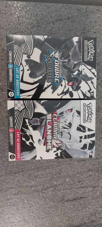 Lot bundle pokemon ev 10.5