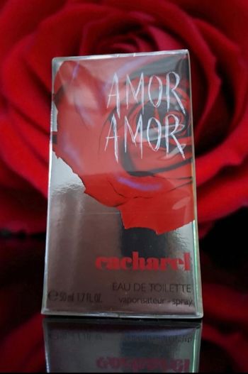 Parfum Amor Amor