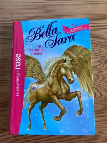 Livre Winx