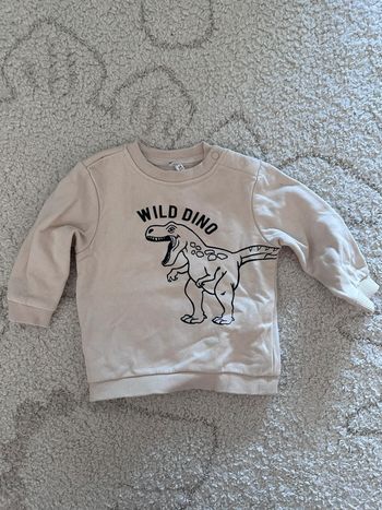 Sweat orchestra 6 mois