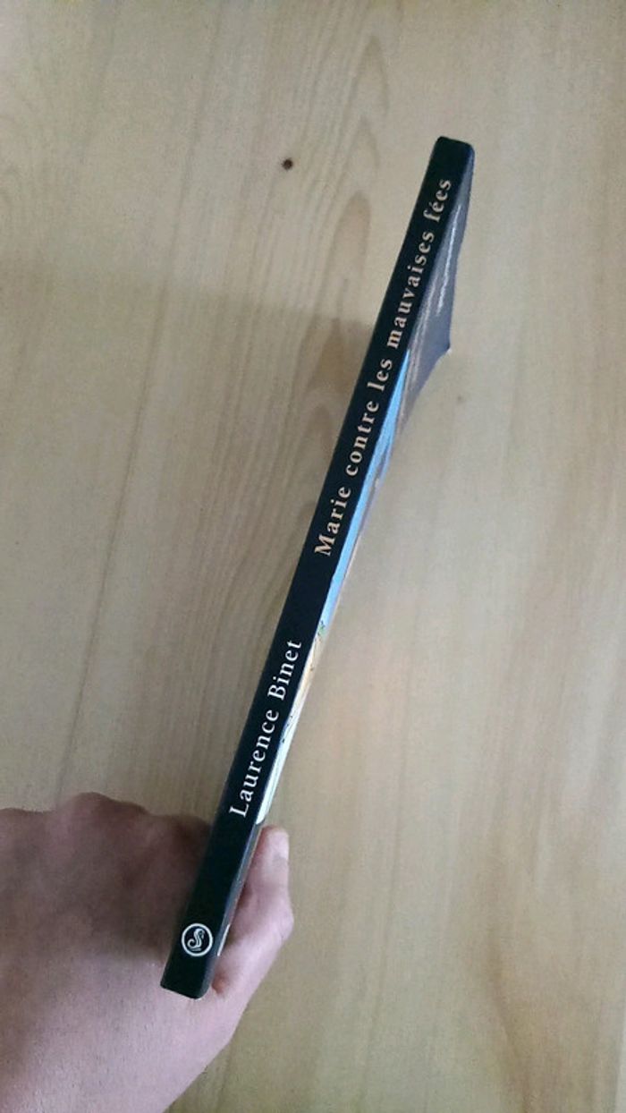 Marie contre les mauvaises fées - photo numéro 2