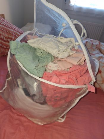 Lot de vêtements bébé 9 mois fille