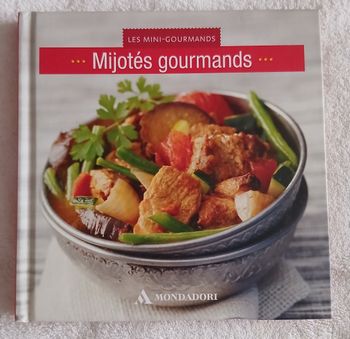 Livre cuisine Mijotés gourmands