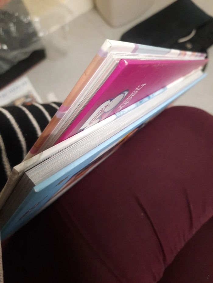 Grand livre Disney série tv - photo numéro 13