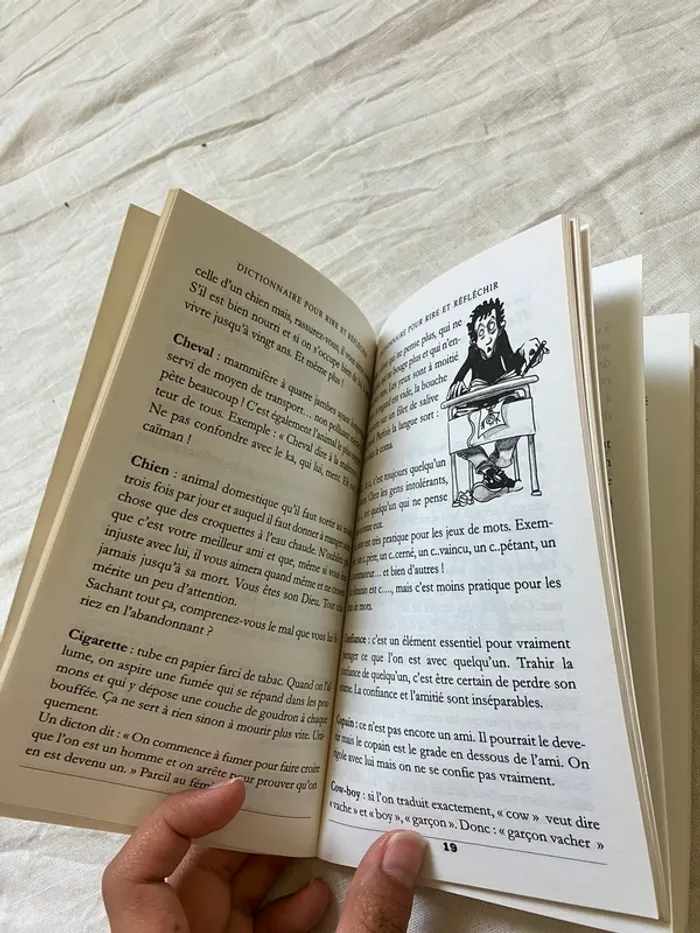 Livre enfant – Dictionnaire pour rire et réfléchir – Franck Schmid - photo numéro 5